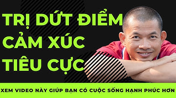 Cách trị dứt điểm Cảm xúc tiêu cực để bạn có cuộc sống Hạnh phúc | Phạm Thành Long