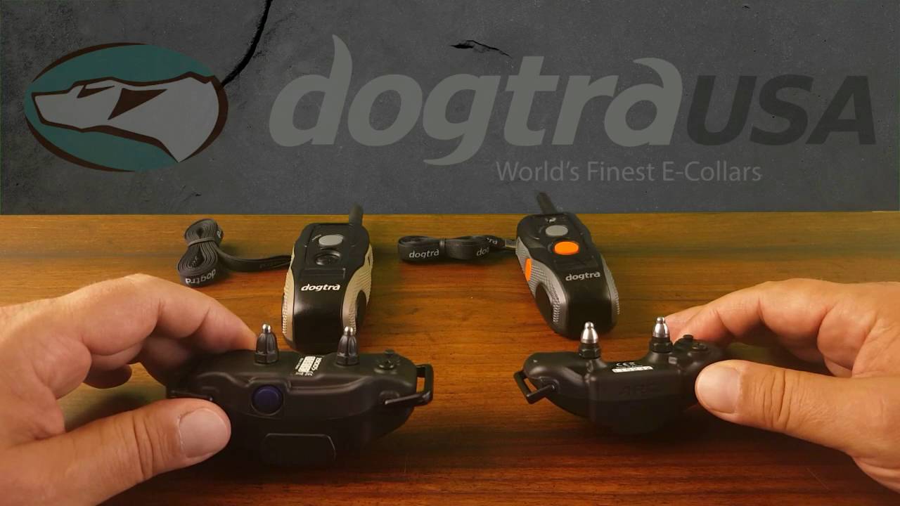 dogtra arc e collar