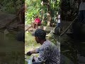 borongan kolam disini gacor semua