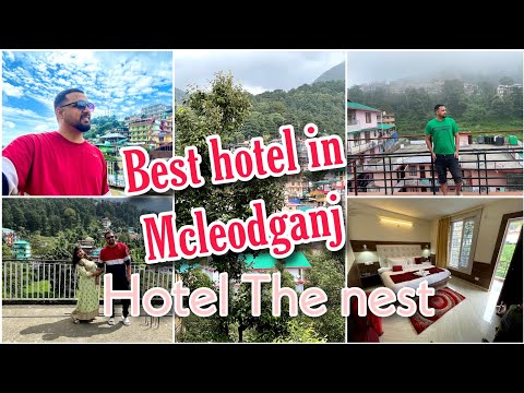 Best Budget Hotels in Mcleodganj Dharamshala | Hotel the Nest