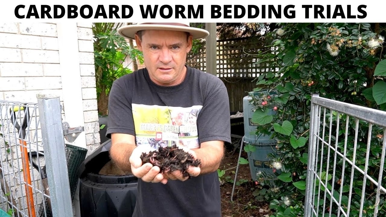 Cardboard Worm Farm Bedding RECYCLE INTO AMAZING! YouTube
