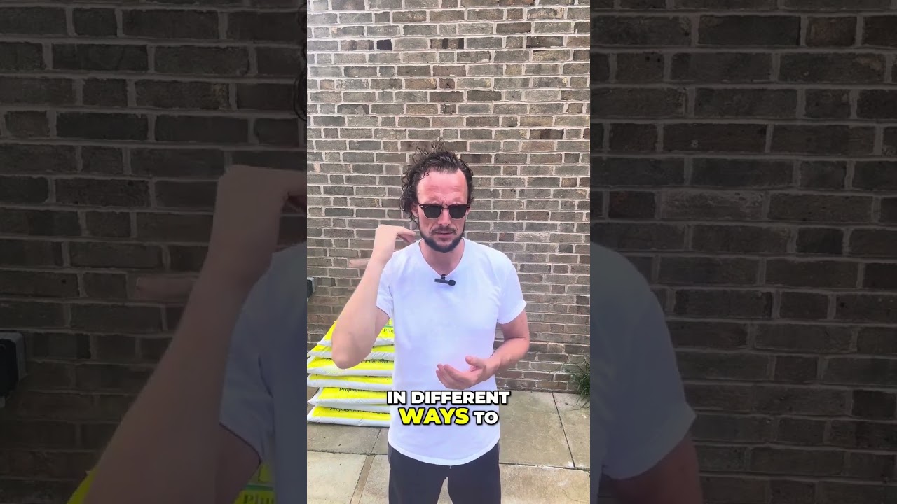 Pushing Forward: Unlocking New Mindsets for Personal Growth