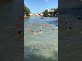 Ref:_5UyABCf1-4 Premi�re baignade dans la seine avant les jo