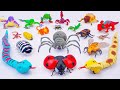 [toy asmr] Zuru Robo Alive Tarantula &amp; Ladybug &amp; Insect Toy Collection | Satisfying Unboxing