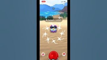 I Caught A Shiny Clamperl In Pokemon Go! #pokemongo #shortsfeed #shorts #pokémongo #pogobloxy