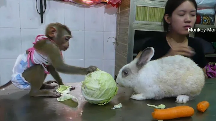 Wow Baby Mori Share Fresh Vegetable And Hug Rabbit Very Sweet While Eat & Play