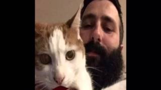David Attenborough Impression Crazy Cat Man