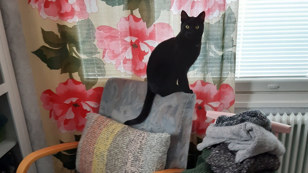 Takkutukka neuloo, osa 1