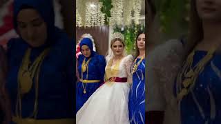 Şevko Halay Mardin Kızıltepe Düğünleri