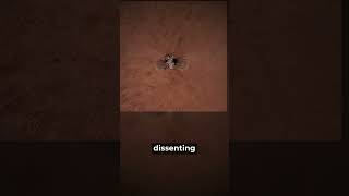 A Spacecraft Photographed Another Spacecraft Landing on Mars
