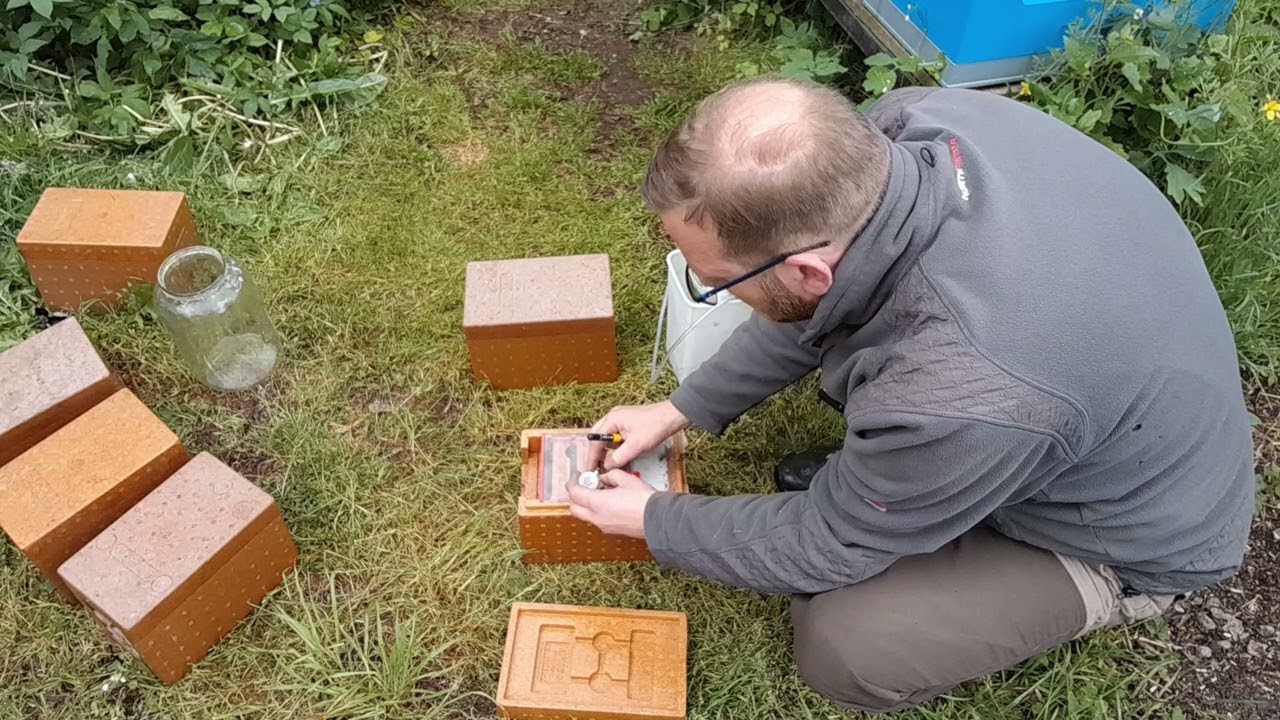 Rychlá a hlavně pohodlná metoda plnění oplodňáčků narkotizovanými včelami pomocí CO2   :-)