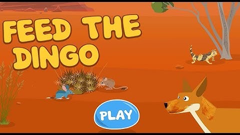 Plum Landing: Ecosystem Feed the Dingo (PBS Kids) | How to Play