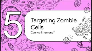 Biology — The Cellular Clocks That Control Your Body