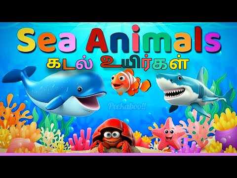 Sea Animals/Ocean Animals/Water Animals Name for kids கடல் உயிரினங்கள்@PEEKABOO-ff8wq