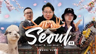 What To Do And Eat In Seoul, Korea ft. Plastic Surgery | 7D6N Travel Guide