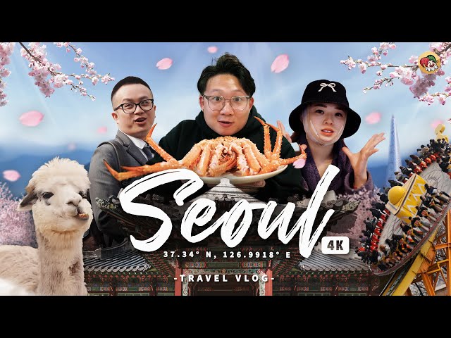What To Do And Eat In Seoul, Korea ft. Plastic Surgery | 7D6N Travel Guide class=
