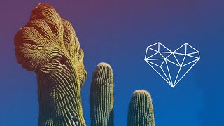 Xavier Fux - Plantas Sagradas Vapour Remix Deep House Sounds Of Earth