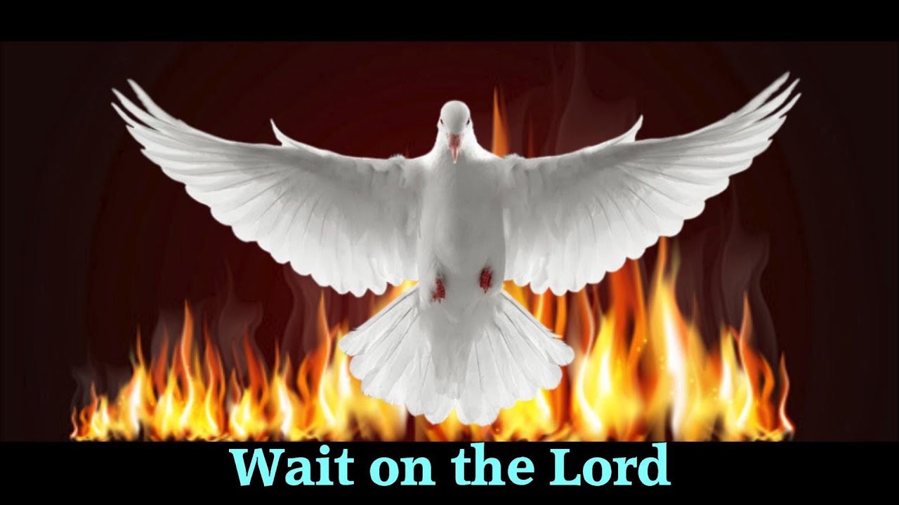 Wait On The Lord YouTube Wait on the lord youtube