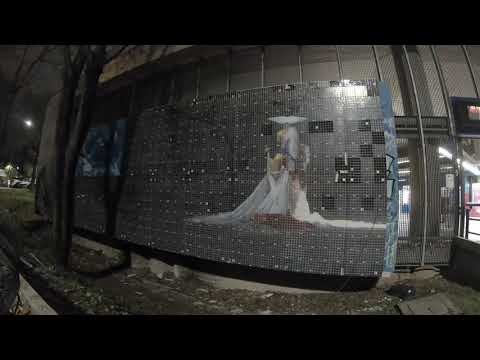 "The Endless Growth", di Jordi Alessandro Bello Tabi. Il primo green smart wall di Roma. Timelapse