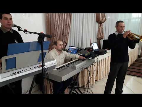 Muzica de petrecere 068566131