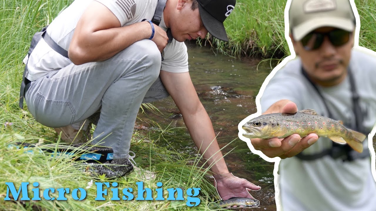 Micro Fishing For Wild Brown Trout! 