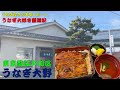 【東京グルメ】うなぎ大好きチャンネル視聴者様おすすめのうなぎ屋シリーズ『うなぎ大野』 #うなぎ #グルメ #江戸川区