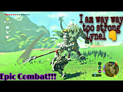 Epic combat with a Lynel - Breath of The Wild