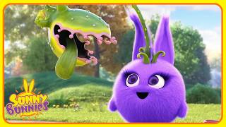 Iris Is Growing Plants Out Of Her Head 🍄 | Sunny Bunnies | Funny Cartoons For Kids