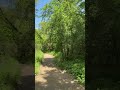 My secret garden 🌳🌿💚🦋🌈🌷