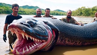 Pria Nekat Mancing 30 Hari Di Sungai Amazon Hanya Ingin Buktikan Ikan Raksasa, Ternyata Ngeri