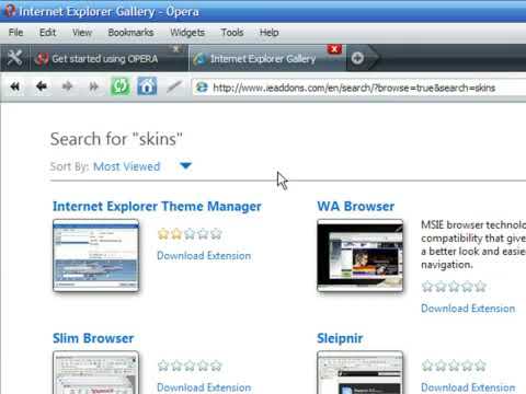 How to Download & Install Internet Explorer Themes