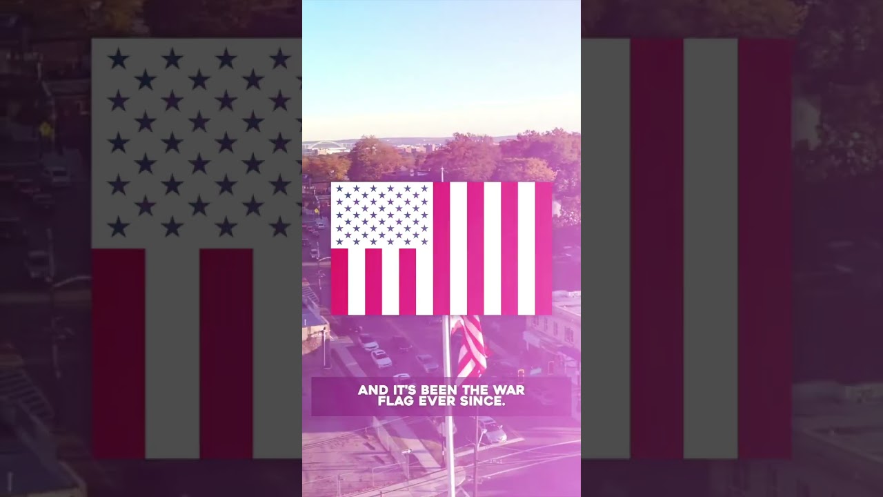 Did You Know America Once Had A PEACE Flag? 