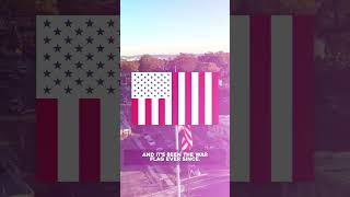 Did You Know America Once Had A PEACE Flag? #redpill #peacefulstatus