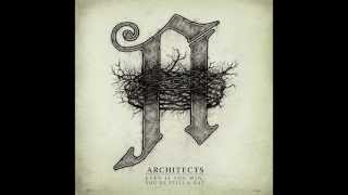Architects - Even If You Win, You&#39;re Still A Rat