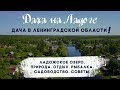 Ищете дачу в Ленинградской области? Ладожское озеро. Природа. Отдых. Рыбалка. Садоводство. Советы