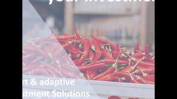 Asset Allocation & Portfolio Backtesting: Logical Invest