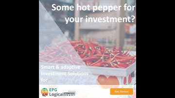 Asset Allocation & Portfolio Backtesting: Logical Invest