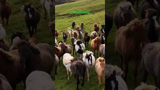 WOW!!! 😲👀😲 Secret World: Incredible Beautiful Flute Music By Peder B. Helland!!!