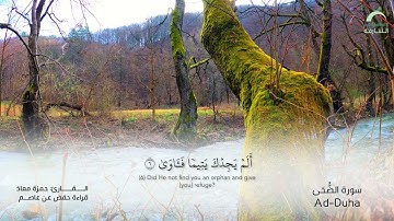 93 سورة الضحى | القارئ :حمزة معاذ