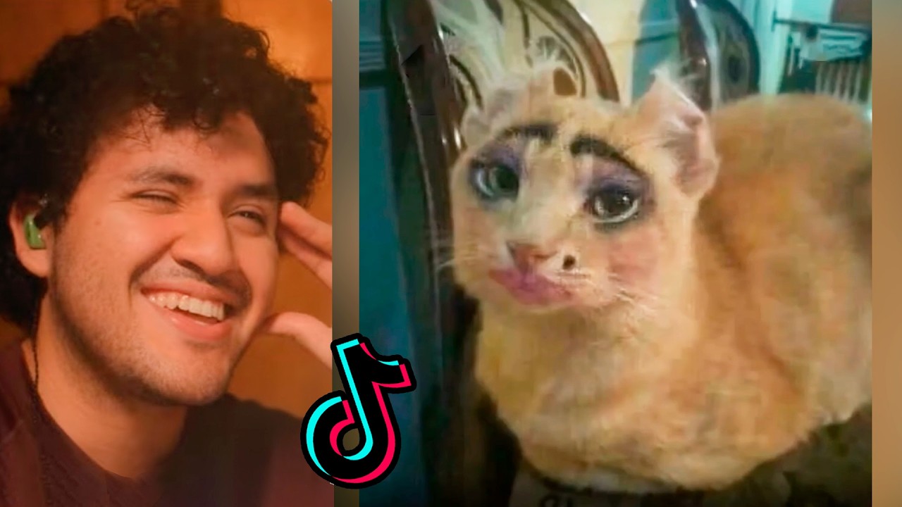 TIK TOKS tan XD que ESTARAS DI-VI-NO ✨