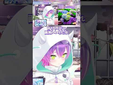 画質が良すぎてきめ細かさに感動