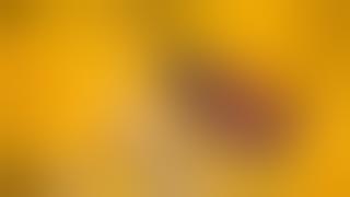 Thomas Arya - Setiaku Kau Abaikan