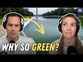 Algae Fills Reflecting Pool After Trump’s $14M Renovation