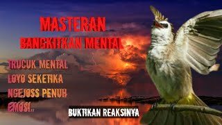 MASTERAN TRUCUKAN BANGKITKAN MENTAL LOYO JADI FULL EMOSI, MASTERAN DAN PANCINGAN INI SANGAT WAJIB..