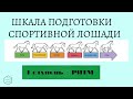 ШКАЛА ПОДГОТОВКИ СПОРТИВНОЙ ЛОШАДИ / 1 СТУПЕНЬ - РИТМ