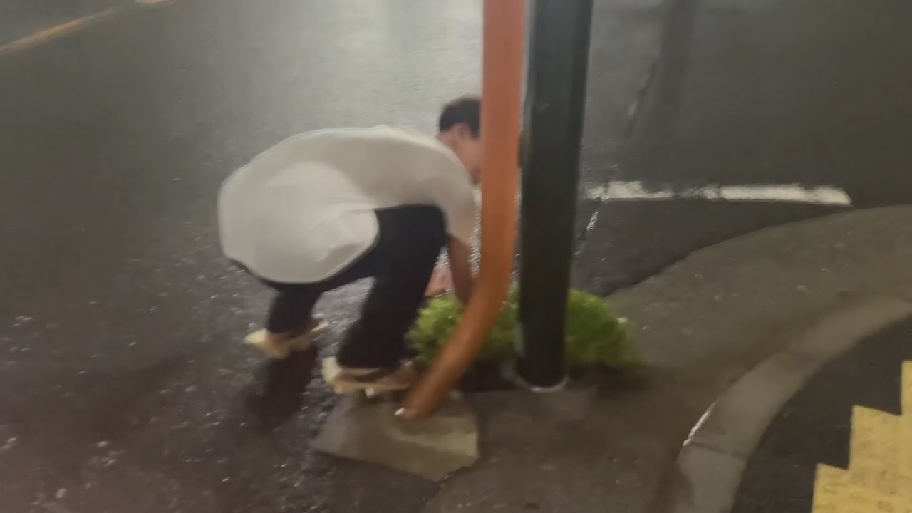 散歩動画やめます