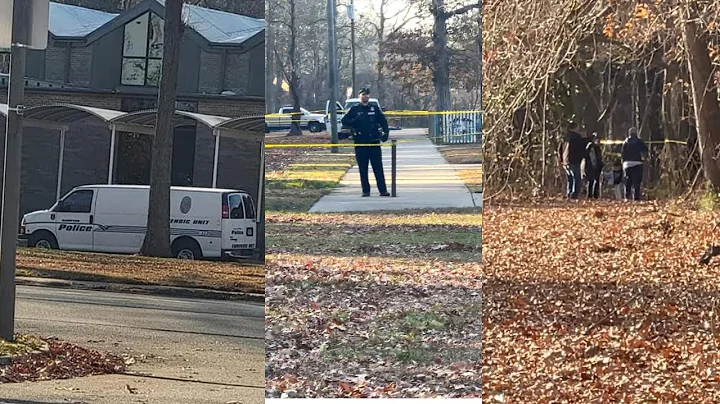 REMAINS FOUND, DETERMINDED TO BE ANIMALS