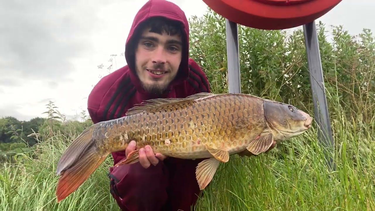 Mega common from the park lake!! 