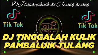 DJ MINANG TERBARU 2023 ll TINGGALAH KULIK PAMBALUIK TULANG ll CINTO TASANGKUIK - DJ MINANG