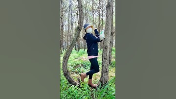 Đưa nóc nhà đi hái nấm trong rừng thông và cái kết